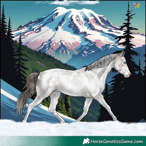 Horse Color:White Spotted Brown Roan Dun Mushroom Splash Appaloosa Rabicano 