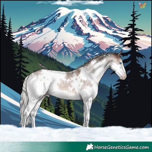 Horse Color:White Spotted Silver Brown Roan Dun Mushroom Splash 