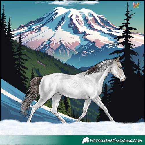 Horse Color:White Spotted Brown Roan Dun Mushroom Splash Varnish Rabicano 