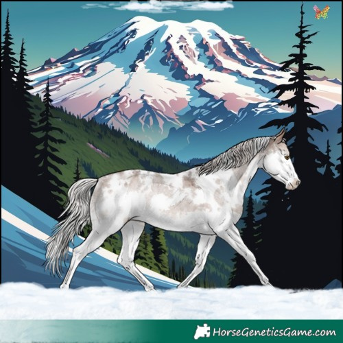 Horse Color:White Spotted Silver Brown Roan Dun Mushroom Splash Appaloosa Rabicano 