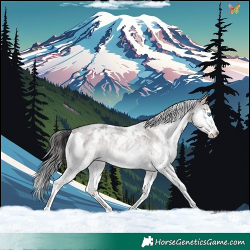 Horse Color:White Spotted Brown Roan Dun Mushroom Splash Rabicano 