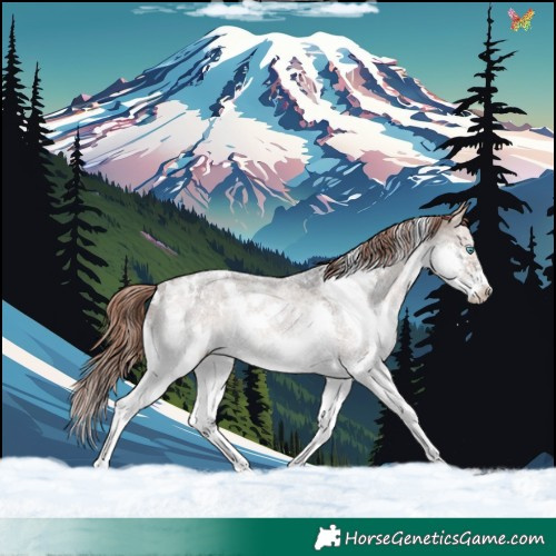 Horse Color:White Spotted Bay Roan Dun Mushroom Splash Appaloosa Rabicano