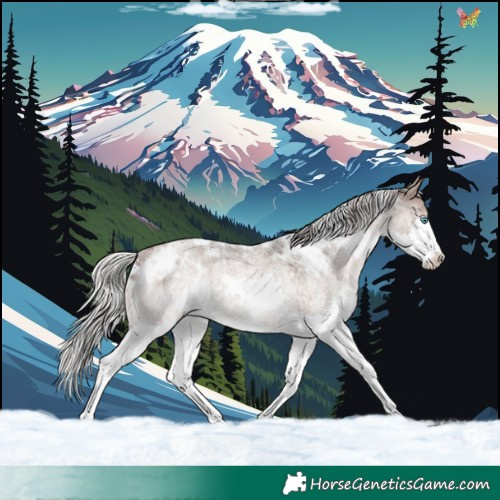 Horse Color:White Spotted Silver Brown Roan Dun Mushroom Splash Rabicano