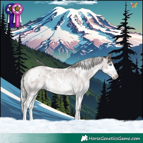 Horse Color:White Spotted Silver Brown Roan Dun Mushroom Splash Rabicano 