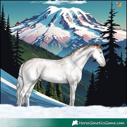 Horse Color:White Spotted Silver Bay Roan Dun Mushroom Splash Rabicano Brindle