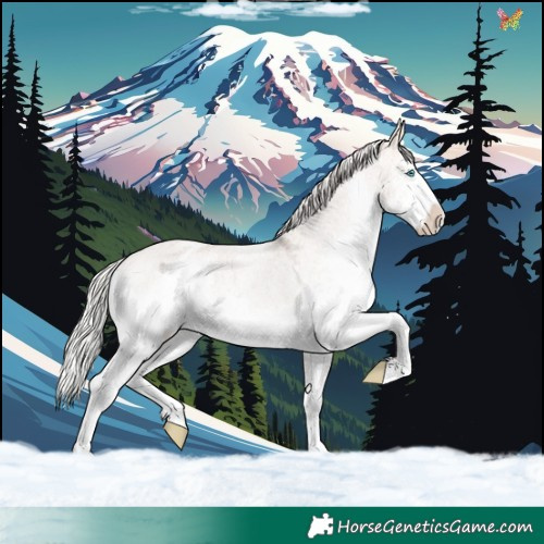 Horse Color:White Spotted Silver Bay Roan Dun Mushroom Splash Appaloosa 