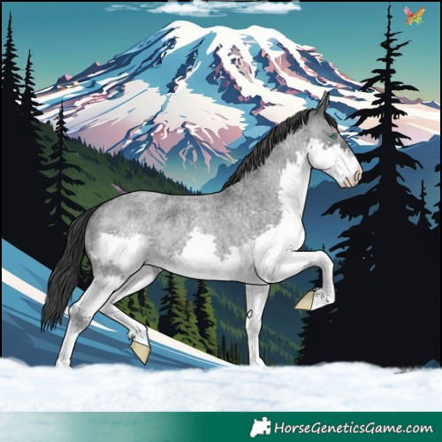 Horse Color:Blue Roan Mushroom Splash 