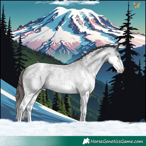 Horse Color:Blue Roan Mushroom Splash Varnish Rabicano 
