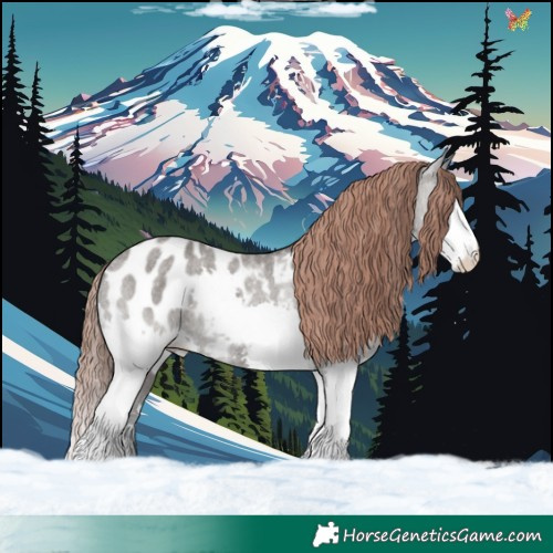 Horse Color:Grullo Roan Mushroom Splash Appaloosa Rabicano