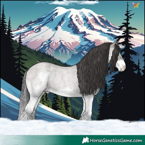 Horse Color:Grullo Roan Mushroom Splash Rabicano 