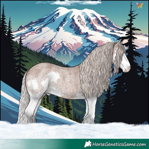 Horse Color:Silver Blue Roan Mushroom Splash Rabicano