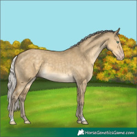 Horse Color:Silver Classic Cream Champagne Dun 