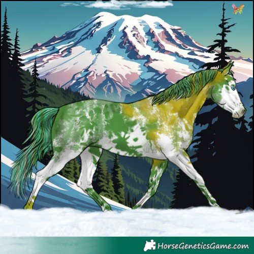 Horse Color:Painted Watercolor Black Sabino Splash 