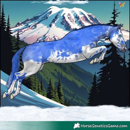 Horse Color:Watercolor Brown Sabino Splash 