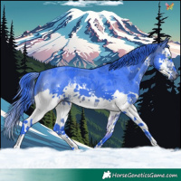 Horse Color:Watercolor Brown Sabino Splash 