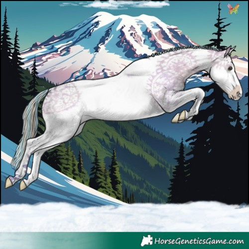 Horse Color:Painted Watercolor Liver Red Dun Splash Tobiano