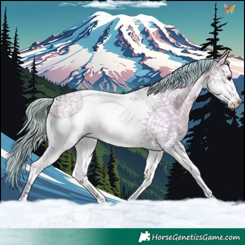 Horse Color:Painted Watercolor Liver Red Dun Splash Tobiano 
