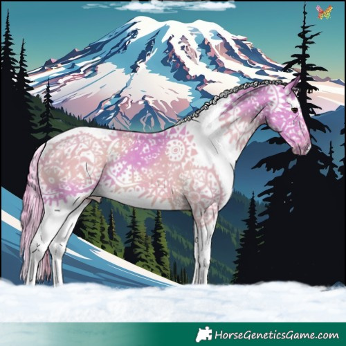 Horse Color:Watercolor Grullo Sabino Splash 