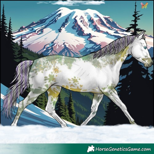 Horse Color:Painted Watercolor Silver Black Sabino Splash 