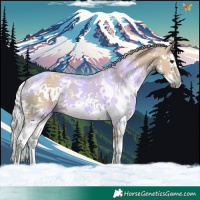 Horse Color:Watercolor Silver Grullo Sabino Splash 