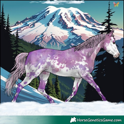 Horse Color:Painted Watercolor Silver Brown Dun Sabino Splash 