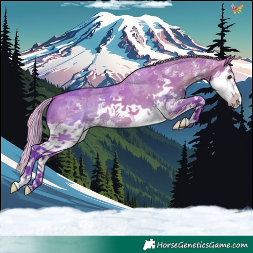 Horse Color:Painted Watercolor Silver Brown Dun Sabino Splash 