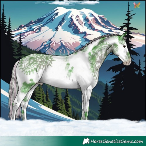 Horse Color:Painted Watercolor Liver Chestnut Splash Tobiano 