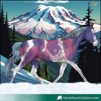 Horse Color:Painted Watercolor Liver Chestnut Splash Tobiano 