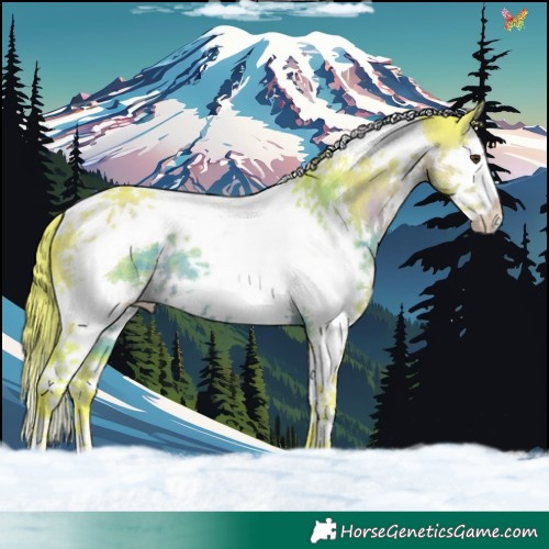 Horse Color:Watercolor Liver Chestnut Splash Tobiano 