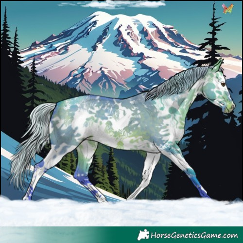 Horse Color:Watercolor Silver Brown Dun Sabino Splash 