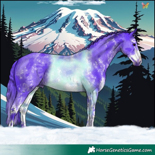 Horse Color:Watercolor Black Sabino Splash 