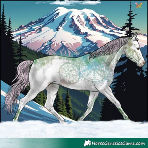 Horse Color:Painted Watercolor Silver Brown Dun Sabino Splash 