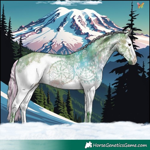 Horse Color:Painted Watercolor Silver Brown Dun Sabino Splash 