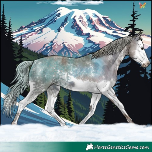 Horse Color:Watercolor Silver Black Sabino Splash 