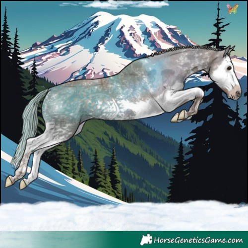 Horse Color:Watercolor Silver Black Sabino Splash 