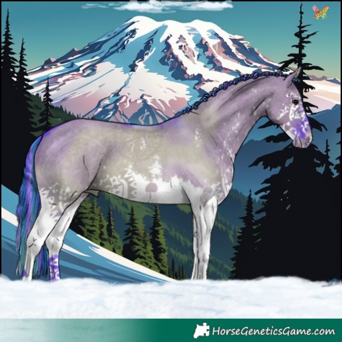 Horse Color:Painted Watercolor Grullo Sabino Splash 