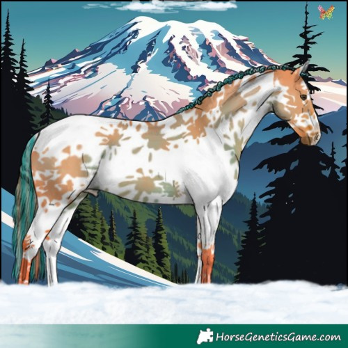 Horse Color:Painted Watercolor Liver Red Dun Splash Tobiano 