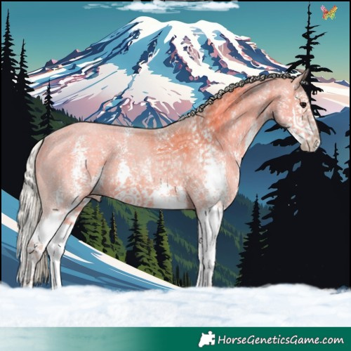 Horse Color:Watercolor Silver Grullo Sabino Splash 