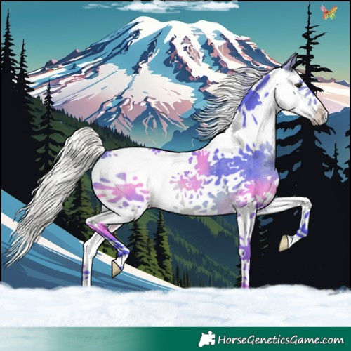 Horse Color:Watercolor Silver Brown Splash