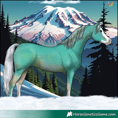 Horse Color:Watercolor Silver Brown Splash 