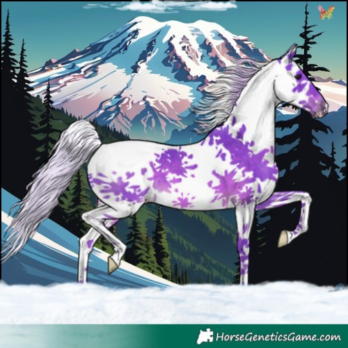 Horse Color:Watercolor Silver Brown Splash 