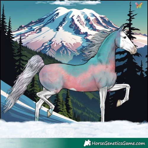 Horse Color:Watercolor Silver Brown Splash 