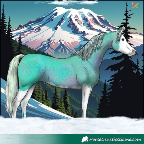 Horse Color:Watercolor Silver Brown Splash 