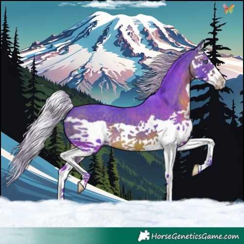 Horse Color:Watercolor Silver Brown Splash 