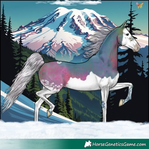 Horse Color:Watercolor Silver Brown Splash