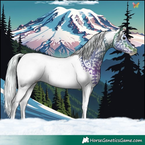 Horse Color:Watercolor Silver Brown Splash 