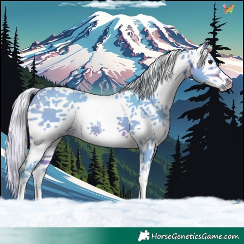 Horse Color:Watercolor Silver Brown Splash 