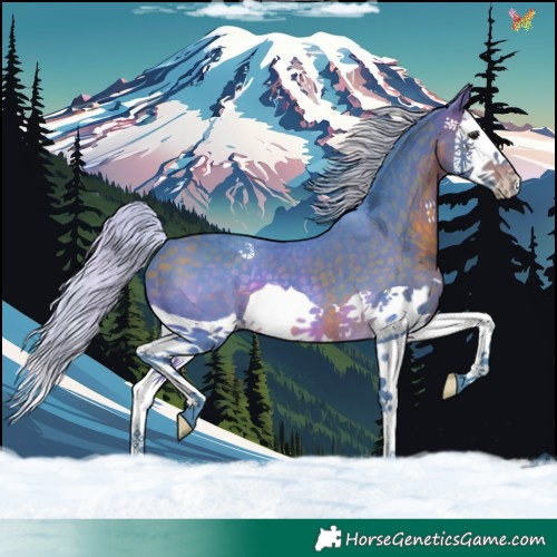 Horse Color:Watercolor Silver Brown Splash