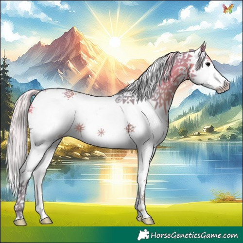 Horse Color:Watercolor Silver Black Splash 
