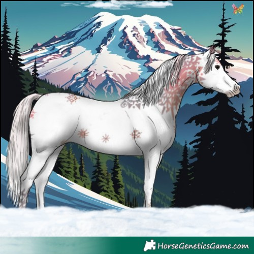 Horse Color:Watercolor Silver Black Splash 
